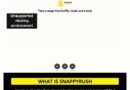 Snappyrush – Grow on Snapchat and monetize your audience